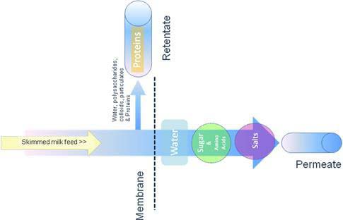 dairy-indusrty-microfilteration