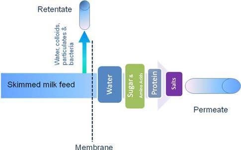 dairy industry reverse osmosis